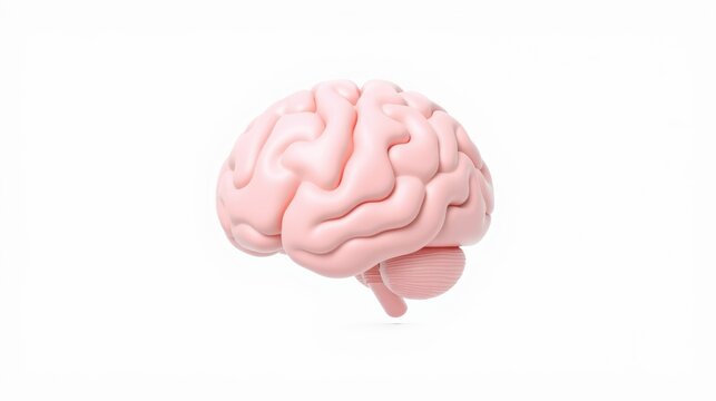 Pink brain model isolated. Smooth surface, detailed convolutions visible. Clean background, studio lighting. Represents intelligence, neurology, cognition.