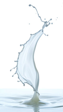 Dramatic Milk Splash High Speed Photography on White Background Food and Beverage Still Life Dairy Product Purity
