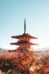 Naklejka premium Chureito Pagoda in Japan