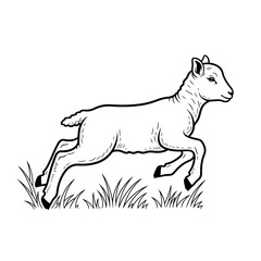 Fototapeta premium Lamb jumping in the grass, isolated on transparent background 