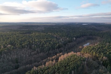 Vast coniferous forest landscape under cloudy sky at sunset. © Rafał