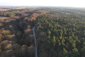 Vast coniferous forest landscape under cloudy sky at sunset. © Rafał