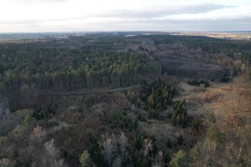 Vast coniferous forest landscape under cloudy sky at sunset. © Rafał