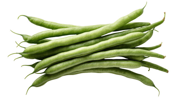 Fresh green beans arranged in a natural stack, perfect for healthy culinary ingredients