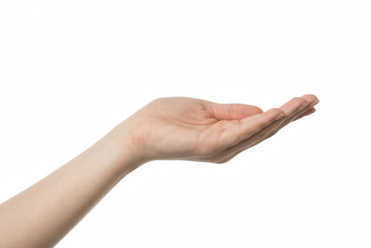 Open Female Hand Reaching Out with Palm Facing Upwards