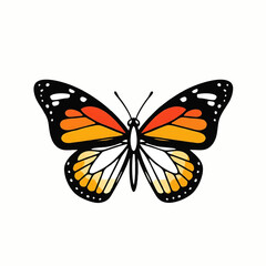 Fototapeta premium Colorful monarch butterfly illustration with open wings.