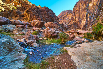 Naklejka premium Goldstrike Hot Spring Flowing Through Desert Canyon with Lush Vegetation
