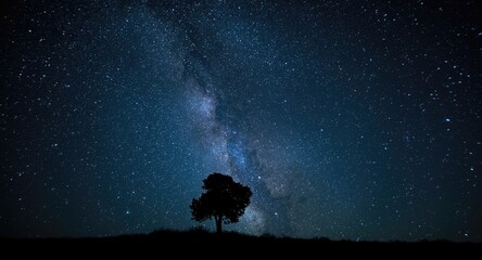 Fototapeta premium black tree figure under a swirling nebula and countless twinkling stars