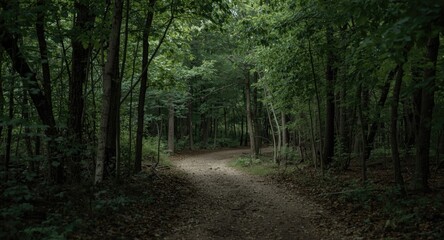 Fototapeta premium Gentle forest trail with a winding dirt path bordered by leafy trees