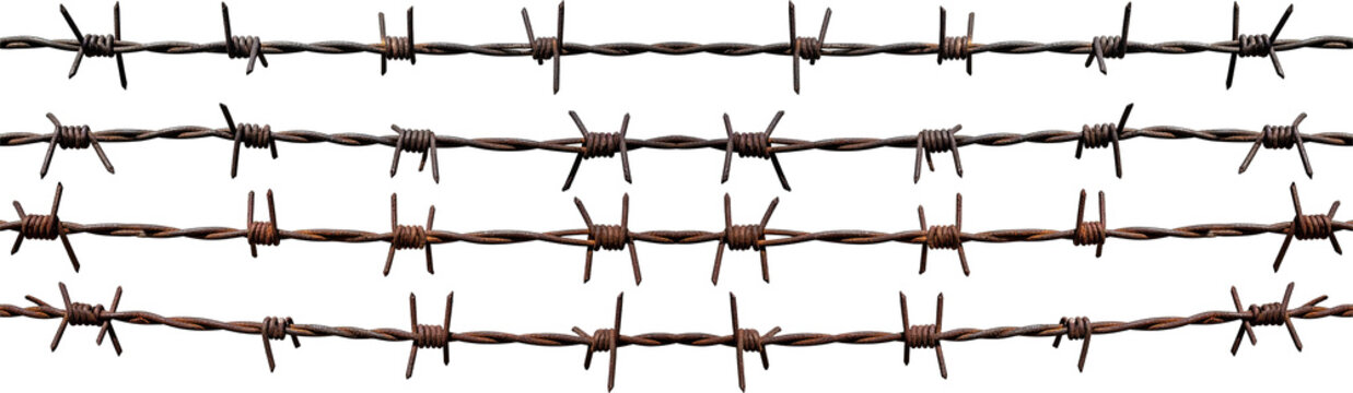Close-up macro shot of rusty barbed wire with sharp points and tangled strands weathered strands of sharp barbed wire Rusty barbed wire strands against white background with sharp barbs PNG