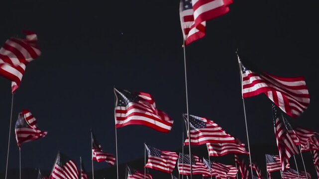 Patriotic flags field at night in Malibu, California, USA with silhouette person and dramatic lighting forming powerful remembrance and tribute atmosphere
