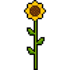 Obraz premium Pixel Art Sunflower, Sunflower Stem Leaf cartoon style, 8 bit flower 