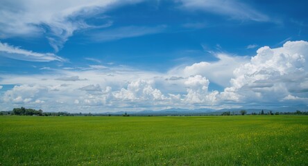Obraz premium Peaceful scenic area surrounded by bright blue clouds and sky