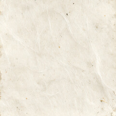 Fototapeta premium Surface of plain white paper showing slight texture and specks of dirt in natural light