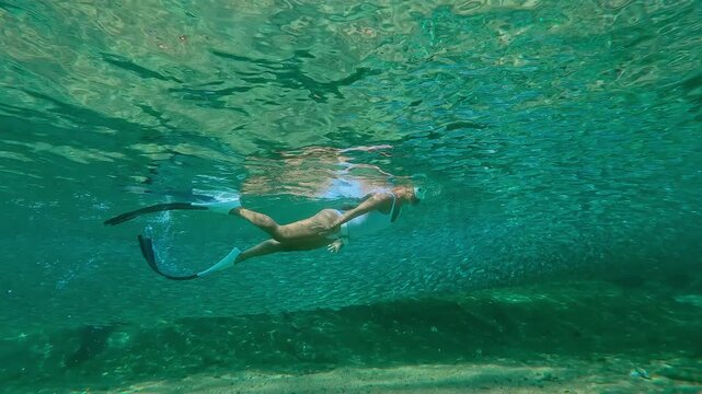 Girl in white freediving equipment swims alongside and watches over an unbroken stream of sparkling, silver fish replicating curves of shore. Lots Silversides moves as single organism on shallows