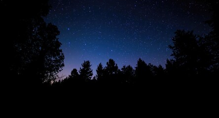 Fototapeta premium Peaceful woodland under a brilliant night sky filled with stars