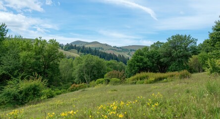 Naklejka premium Serene landscape with lush green trees and vibrant flora in a tranquil natural setting