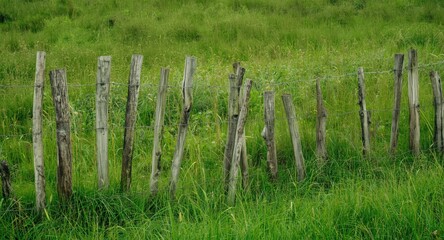 Fototapeta premium Rough wooden fence outlining a dense green grassland under erosion threat