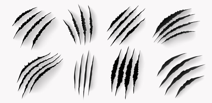 Animal claw scratch mark set with paper slash rips. Realistic vector tears by tiger, lion, bear or wolf paw on grey surface. Scary scrape trails, damaged texture and ripped background design elements.