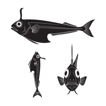 Hatchetfish Three Pose Deep Body Barrel Eyes Silhouette Vector
