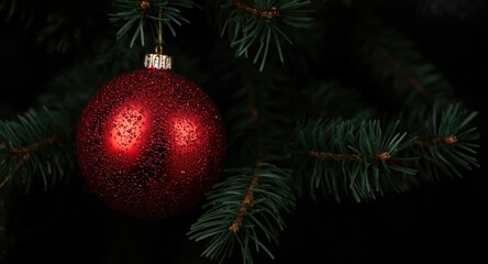 Obraz premium Red shiny bauble sparkling on a holiday pine tree branch