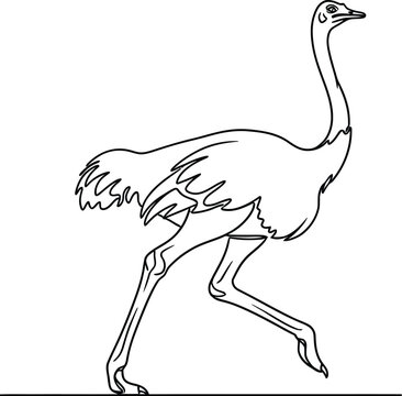 Continuous line drawing of an ostrich running in profile view