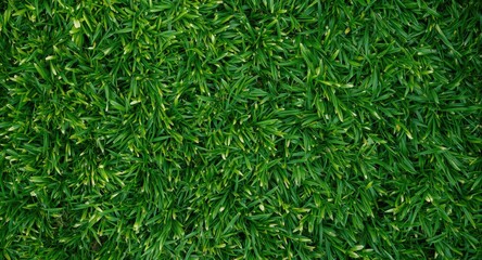 Naklejka premium Lush green grassy texture supporting vibrant spring foliage in natural scenes