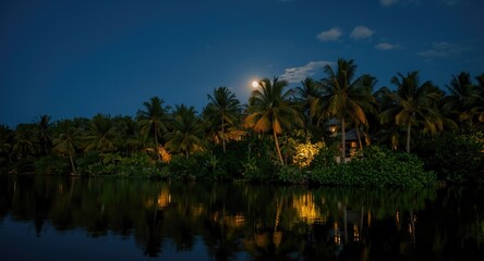 Obraz premium Restful moonlit tropical vista with lush palms and calm water reflections