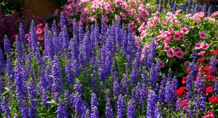 Fototapeta premium Brilliant floral garden abundant with violet and pink blossoms under soft sun