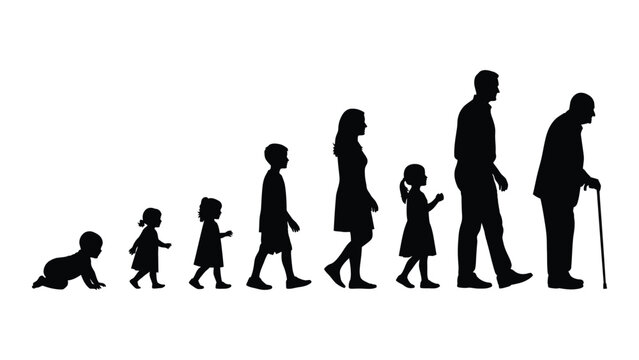 Human life stages from infancy to old age