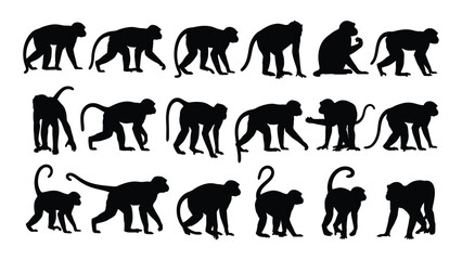 A group of monkey silhouettes in various poses © SILHUETTECHEMBER