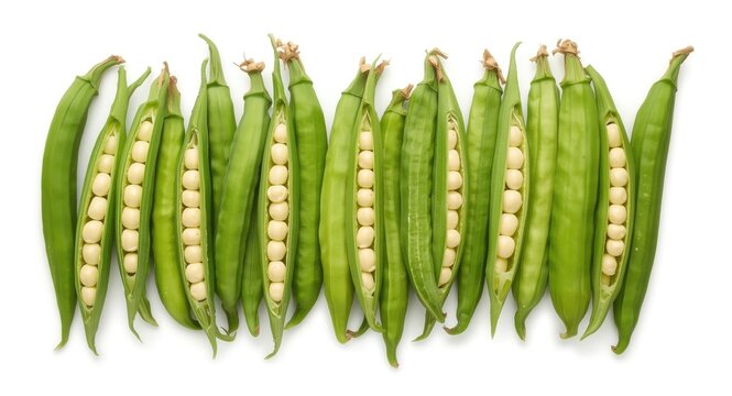 Stock image of fresh soybean pods with simple white background