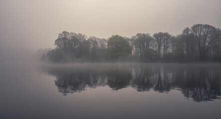 Fototapeta premium Rain-kissed reflective water panorama with ghostly tree silhouettes and mist