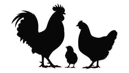 Silhouette of a rooster hen and chick standing together © SILHUETTECHEMBER