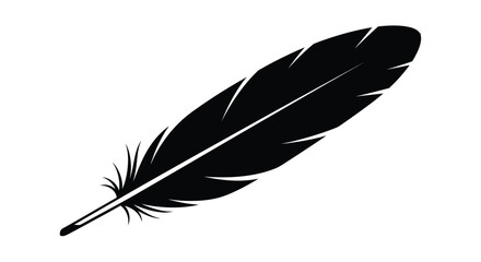 A single black feather isolated on a plain white background © APIM02SN