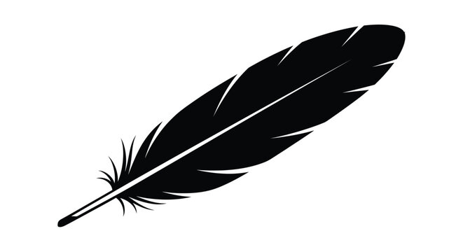 A single black feather isolated on a plain white background