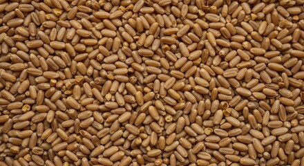 Fototapeta premium Abundant natural texture created by numerous small kernels of dry agricultural cereal grains, perfect for rustic food packaging or bakery backdrops, brown, baking, seed