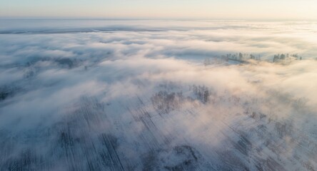 Obraz premium Cold spell enveloping vast farmland in shimmering frozen layers