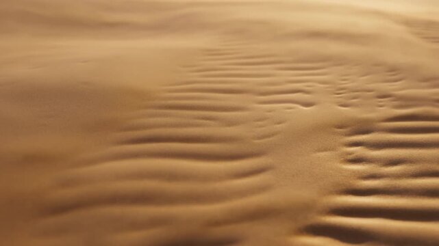Gentle waves of sand create a serene landscape under soft lighting. Represents tranquility and the beauty of nature's patterns