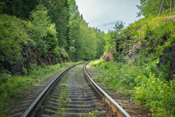 Obraz premium Railway tracks in the forest, vacation trip by train,