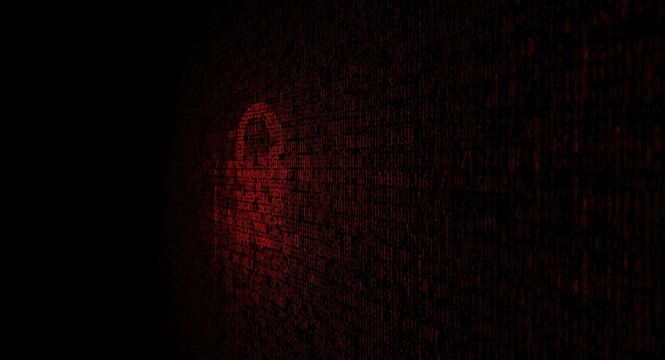 Cybercrime protection tool displaying network security error code