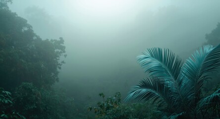 Obraz premium Misty rainforest atmosphere highlighting tropical palm fronds in soothing blue with copy space