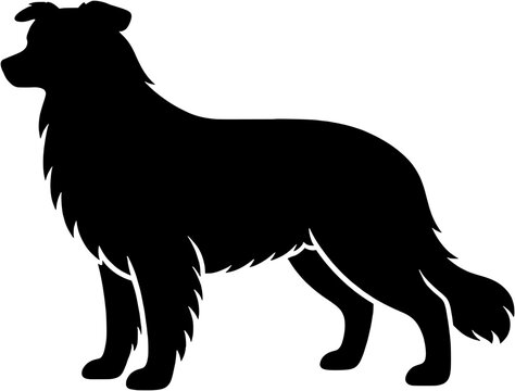 Border Collie dog silhouette, side profile black vector icon
