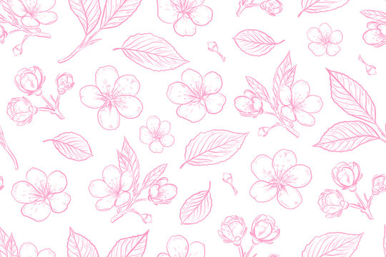 Seamless Pink Cherry Blossom Floral Pattern, Hand Drawn Botanical Line Art Background, Elegant Spring Flowers Repeat Design for Fabric, Wallpaper, Wrapping Paper, Wedding Invitations and Branding