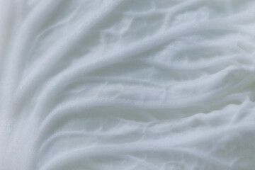 Fototapeta premium Macro close-up cabbage leaf structure with soft flowing layers and natural white texture