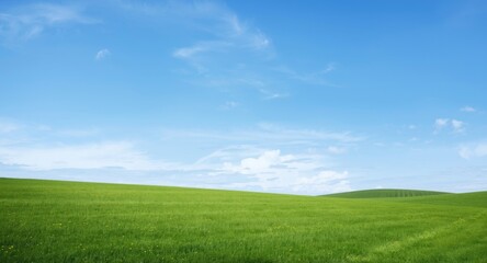 Obraz premium Natural landscape design showing wide blue sky backdrop and copy space for banner text