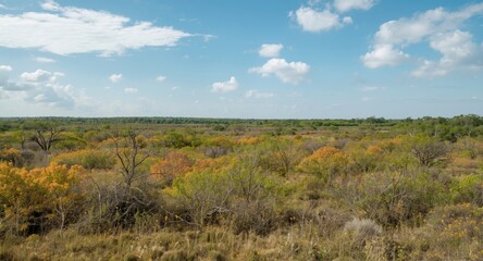 Fototapeta premium Pleasant view of a thriving ecosystem with bright colors and clear skies