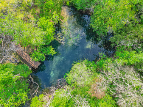 Hightower Springs, FL
