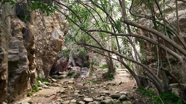Avakas Gorge Nature Trail