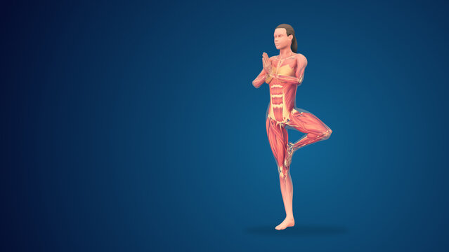 3D human vrikshasana tree yoga pose on blue background